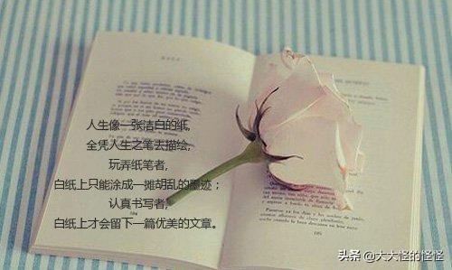 摘抄20个句子（摘抄20个句子加批注）