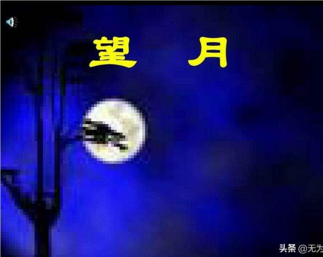 天若有情天亦老歌词_天若有情天亦老歌词什么意思