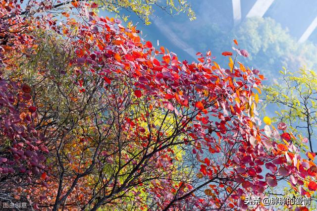 有哲理的个性签名大全（2020最新哲理个性签名）