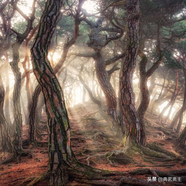 鉴赏诗歌_如何鉴赏诗歌