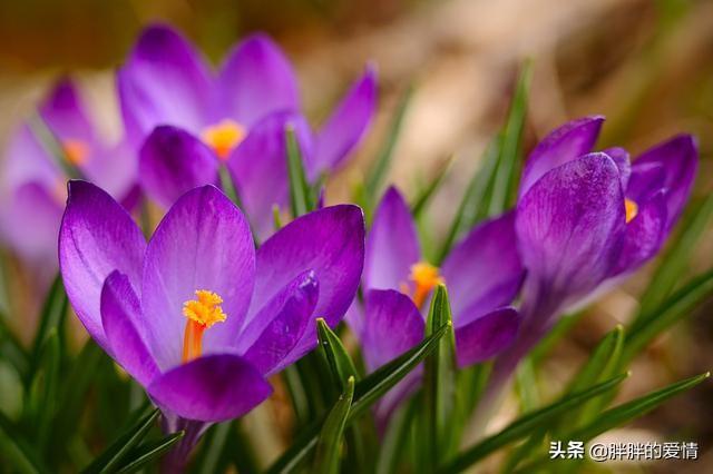 名人名言名句大全人生哲理（名人名言大全摘抄励志人生感悟）