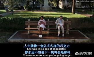 摘抄经典英文电影美句（英文电影摘抄经典语录）