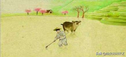 中国劳动名言（中国人关于劳动的名言）