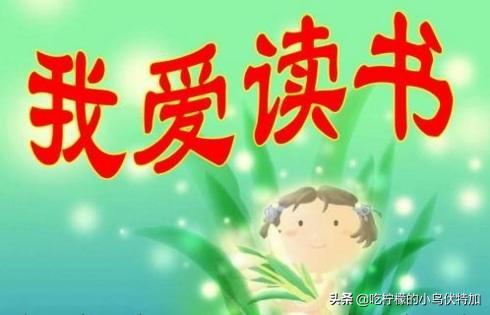 我喜欢的一本书400字作文（我喜欢的一本书400字作文初二）