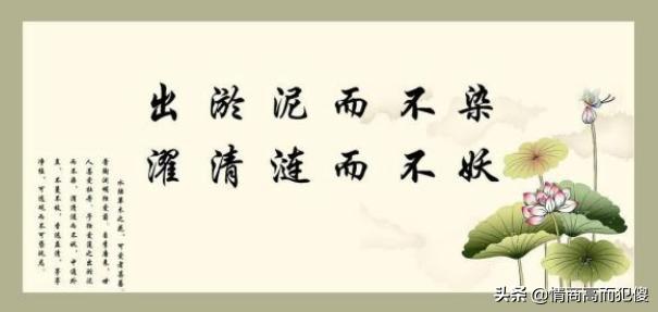 廉洁警句格言与出处（廉洁格言警句名人名言）