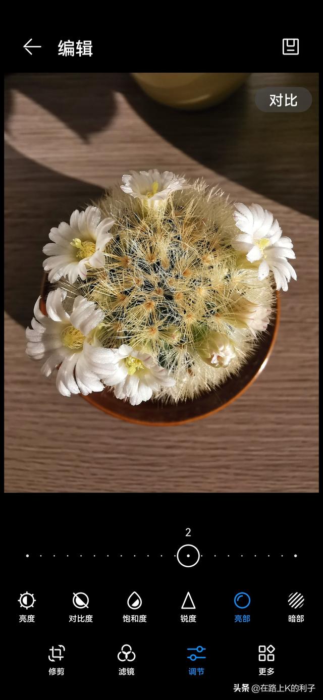 充满阳光的句子图片（充满阳光的图片 自信）