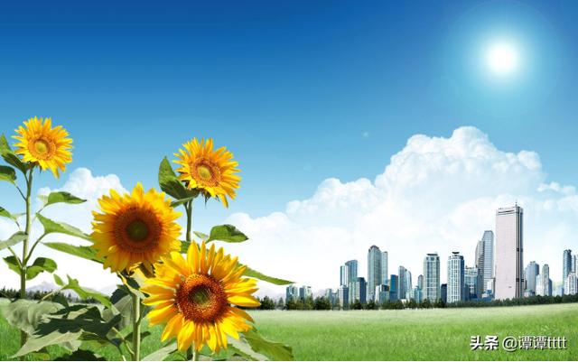 100字好段摘抄大全（优美好段100字摘抄大全）