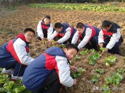 劳动感悟500字作文（劳动感悟的作文）