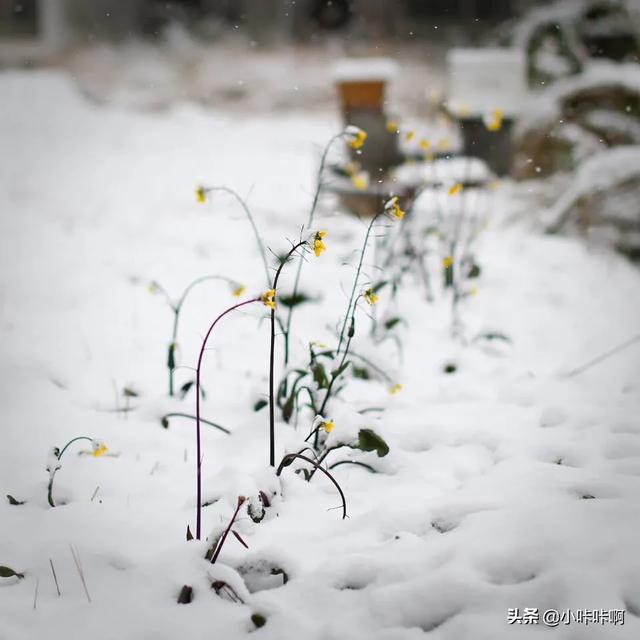 感悟生命的名人名言加作者（一句有关感悟生命的名人名言）