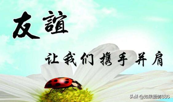 关于赞美友谊的名人名言(赞美友谊的名言名句大全)