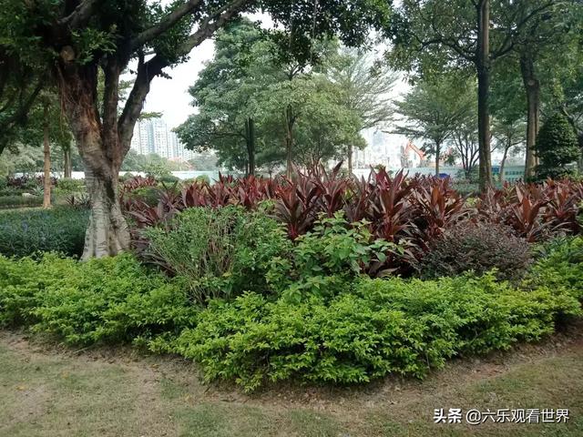 如何控制好自己的情绪和心态