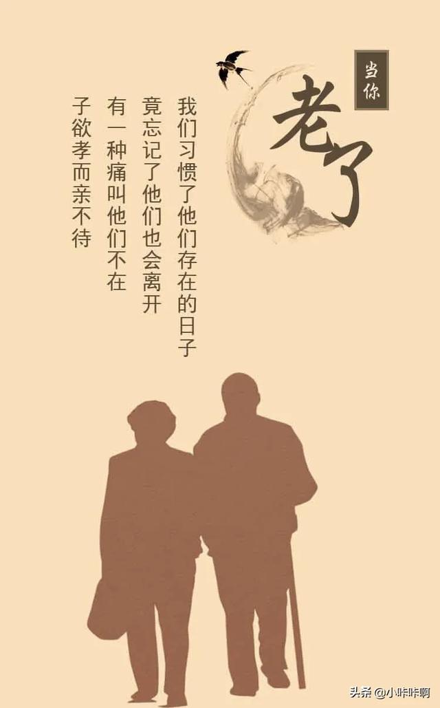 感谢老师的名言警句或诗句（感谢老师的名言名言）