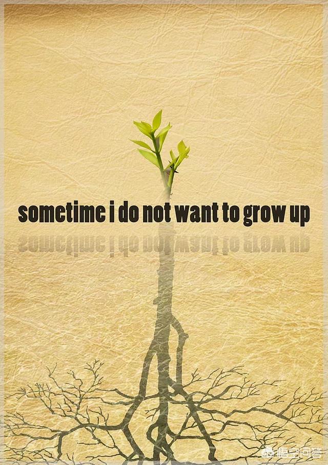 关于生命的手抄报图片简单（关于生命的手抄报图片简单又好看）